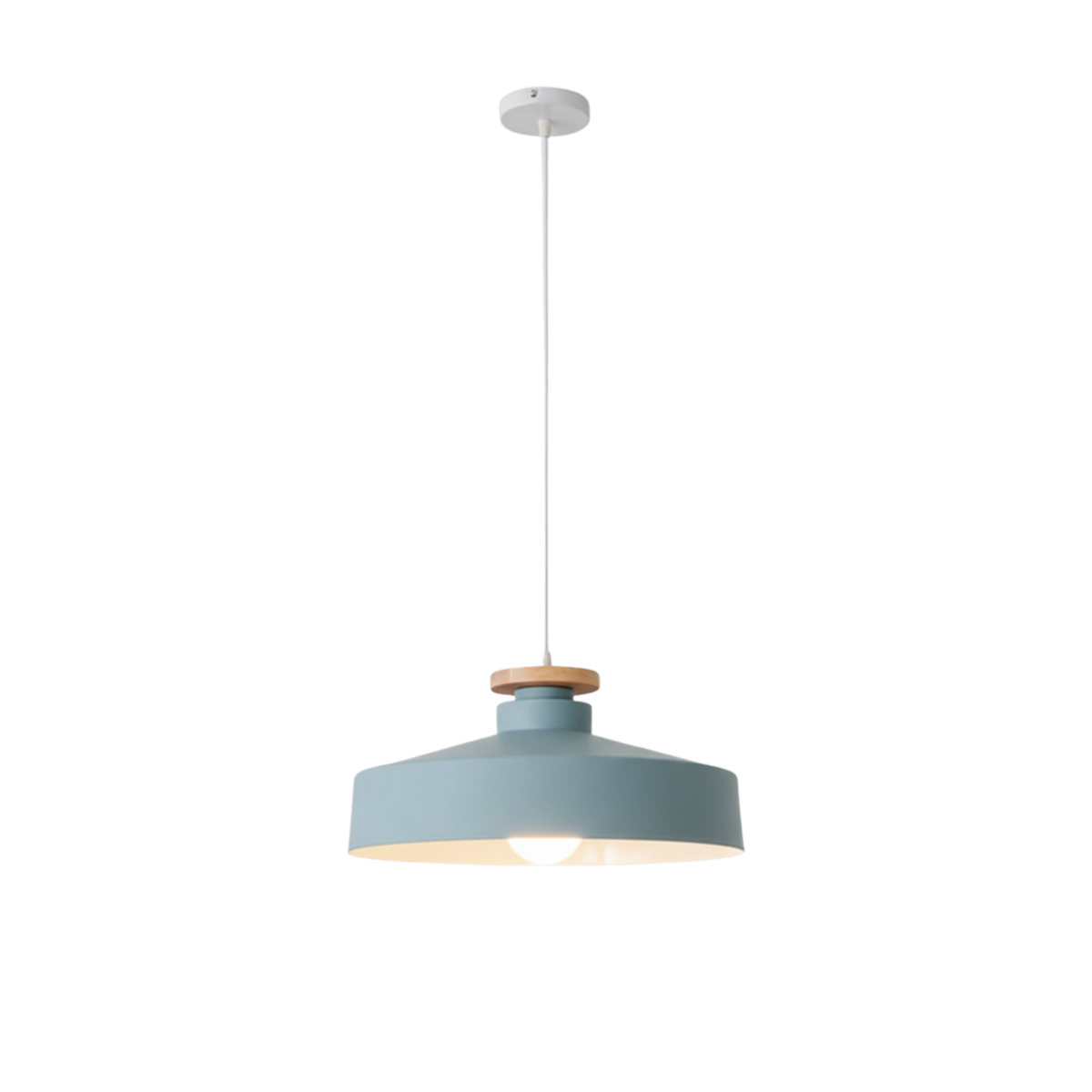Black Iron LED Pendant Ceiling Light, view 12